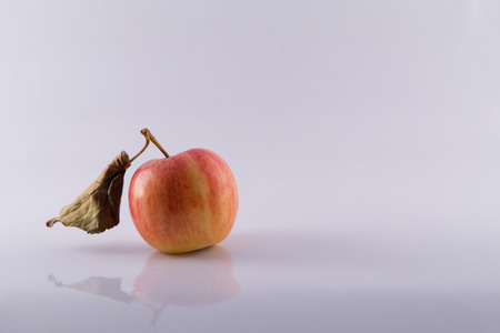 appleの写真素材