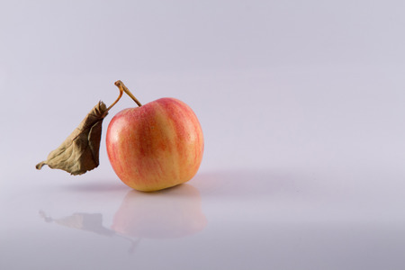 appleの写真素材