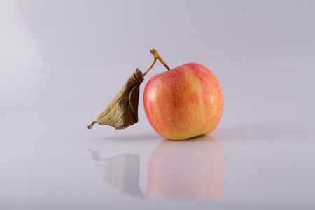 apple oneの写真素材