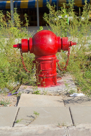 Fire Hydrantの写真素材