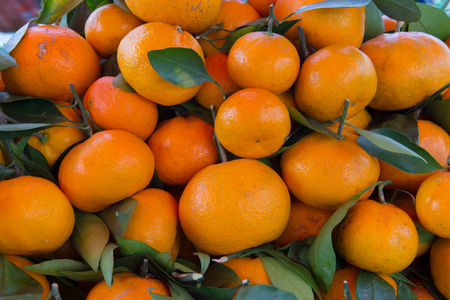 Orange with leaves on market in thailandの写真素材