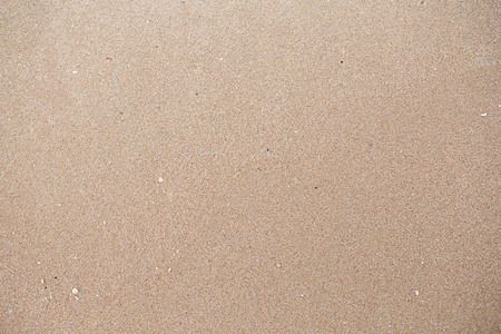 sandy beach background.の写真素材