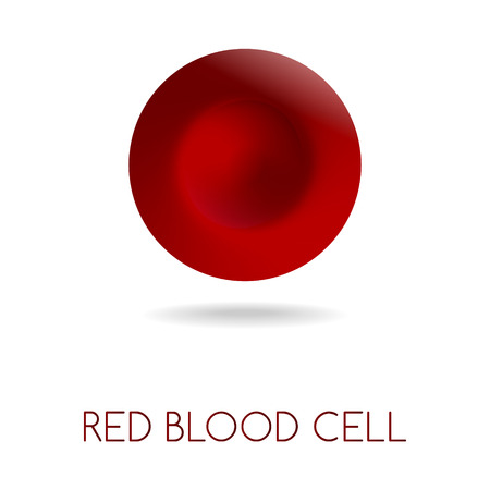 Blood red cell vector illustration isolated on white.のイラスト素材