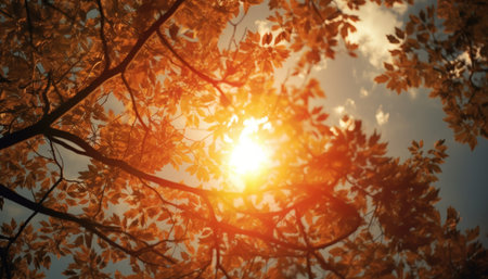 Golden sunlight filtering through autumn leaves creating a warm and serene natural atmosphere. Generative AI.の素材