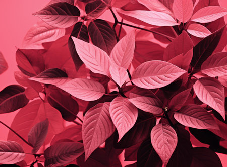 Vibrant red and pink leaves create a striking visual contrast showcasing natures beauty and diversity in foliage patterns. Generative AI.の素材
