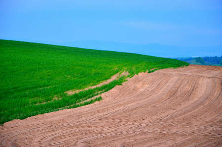 Divided scene with sand, grass and blue sky  Human impact on the natureの写真素材