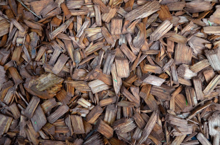 Brown Backgroud texture with the lots of wooden bark pieces