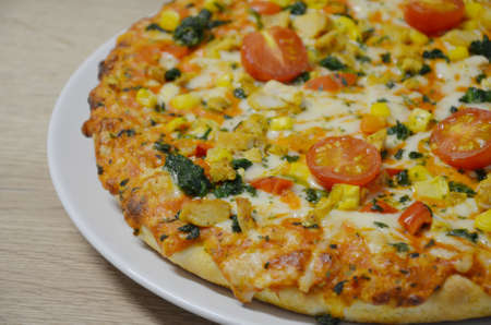 Close up photo with baked cheese and vegetable pizzaの写真素材