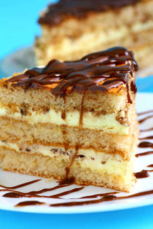 Close up of piece of biscuit cake with chocolate and cream