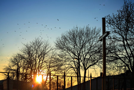 Large cross with setting sun and flying birds in the backgroundの写真素材