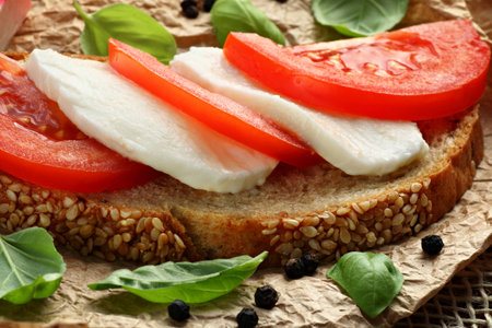 Healthy sandwich with mozzarella cheese and tomatoesの写真素材