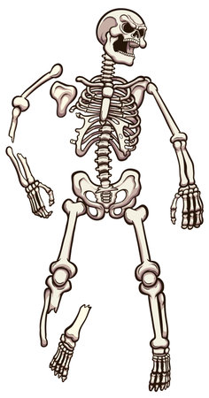 Cartoon Laying Skeleton. Vector illustration with simple gradients.のイラスト素材