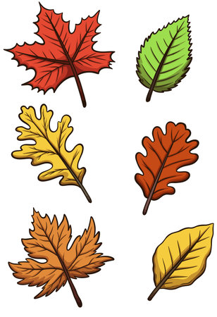 Cartoon Fall Leaves. Vector clip art illustration with simple gradients.のイラスト素材