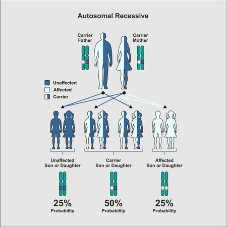 Anatomy of the human body. infographics. vector illustrationのイラスト素材