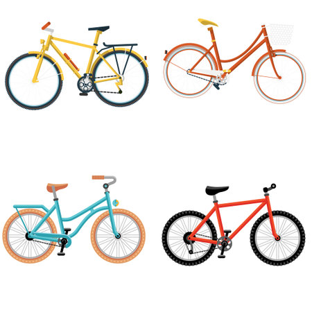 Set of different bicycles isolated on a white background. vector illustration.