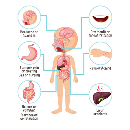 Human anatomy. Stomach, liver, pancreas and other organs. vector illustrationのイラスト素材