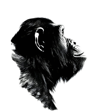 Vector illustration of a chimpanzee in black silhouette against a clean white background, capturing graceful forms.のイラスト素材