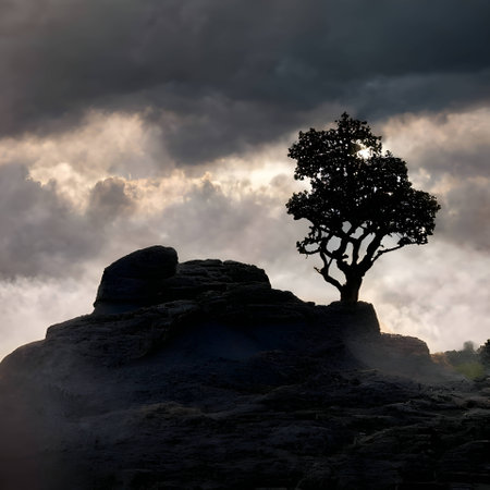 A solitary hill, a weathered stone, and a sturdy tree stand against a dramatic cloudy sky, painting a serene and timeless scene.のイラスト素材