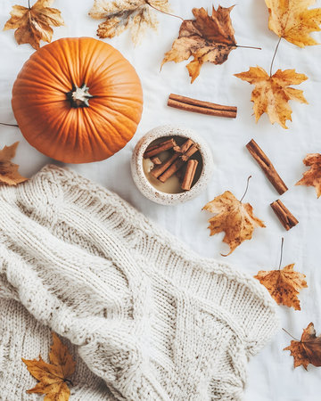 A flat lay featuring a pumpkin, cinnamon sticks, knitted blanket and autumn leaves on a white background.の写真素材