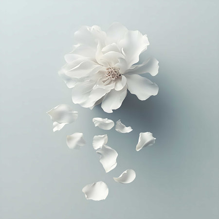 A single white flower with falling petals against a soft blue background. Minimalist and elegant.の写真素材