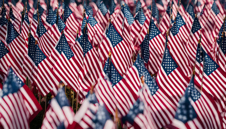 A vibrant field filled with American flags, a powerful display of patriotism.の写真素材