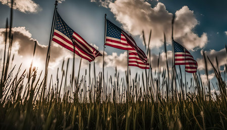 A low angle shot of four American flags waving in the wind against a blue sky with white clouds. The flags are seen from the perspective of someone standing in a field of tall grass.の写真素材