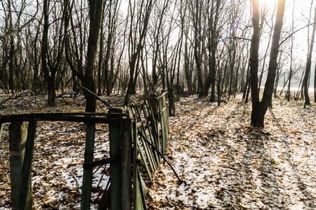 Old wooden decayed fencの写真素材