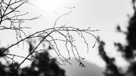 view from the Capska Palice in the Czech Republic at sunriseの写真素材