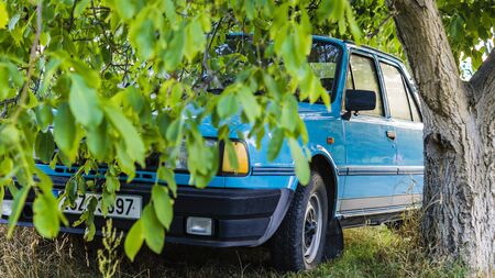 old car under a green tree in the Czech Republic