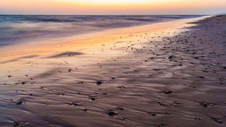 sandy beach full of shells at sunsetの写真素材