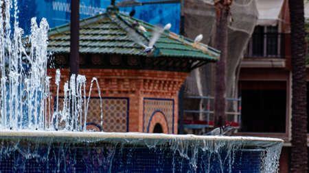 water fountain on a square in Huelvaの写真素材