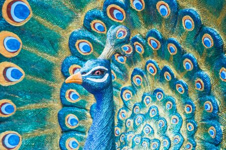 Peacock statueの写真素材