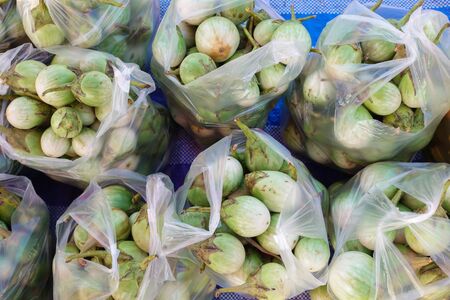 Eggplant green put on the market, Thailand.の写真素材