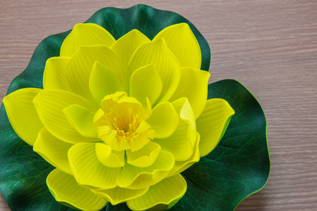 beautiful yellow lotus on woodenの写真素材