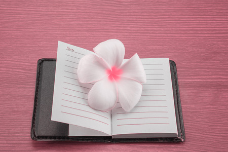 Notebook and Plumeria flower on wood backgroundの写真素材