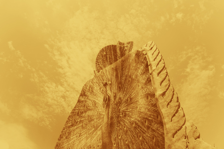 Double exposure religion of Buddha and Templeの写真素材