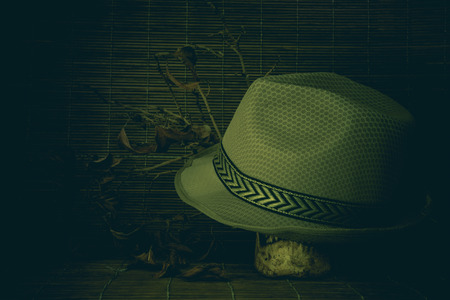 Still life skull under dead tree concept Halloweenの写真素材