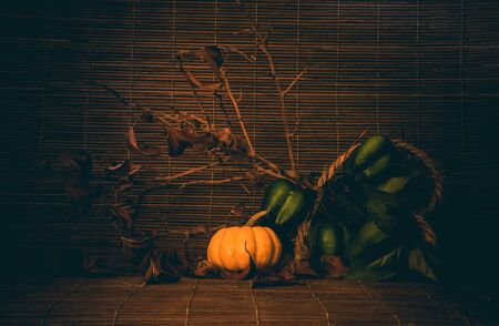 Still life dead tree and pumpkin concept halloween vintage toneの写真素材