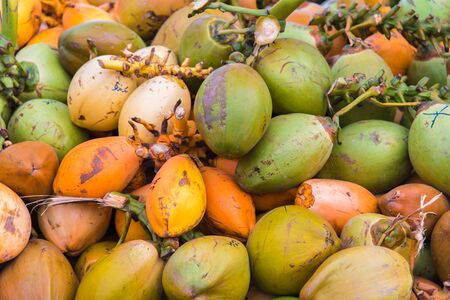 Fresh raw yellow and green coconuts fruits in Male,Maldivesの写真素材