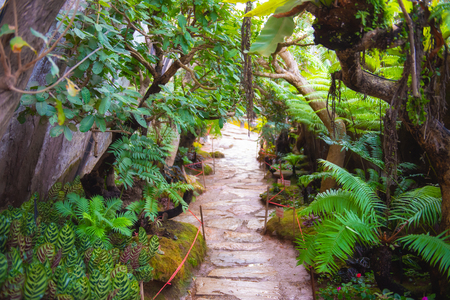 Natural garden style decoration like heaven.の写真素材