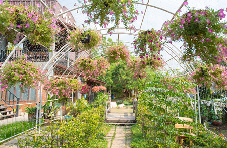 Pink ornamental arch in the garden.の写真素材