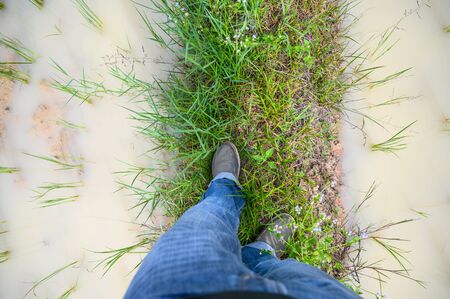 Man walking along in nature.の写真素材
