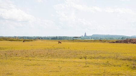 Landscape view of Wat Phu Khao temple lamdmark in Kalasin, Thailand.の写真素材