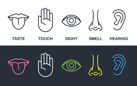 5 human body senses sign set with nose for smell, tongue for taste, hand for touch, eye for sight, and ear for hearing - line icons. Vector illustration.のイラスト素材