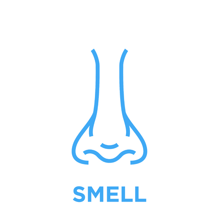 Female nose icon. Smell symbol. Human nasal breath sign. Blue vector graphic line style illustration isolated on white background.のイラスト素材