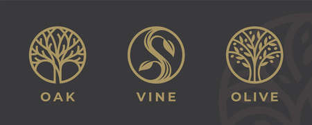 Abstract tree logo icon set. Elegant garden nature symbol collection. Branch with leaves sign. Vector illustration.のイラスト素材