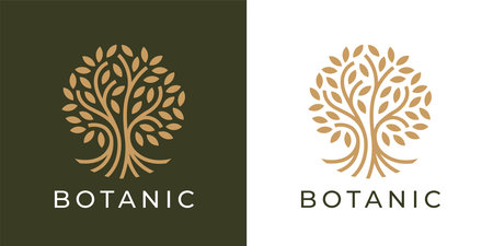 Botanic tree of life logo. Natural product plant icon. Botanical wellness spa sign. Luxury floral boutique nature emblem. Premium oak tree symbol. Vector illustration.のイラスト素材