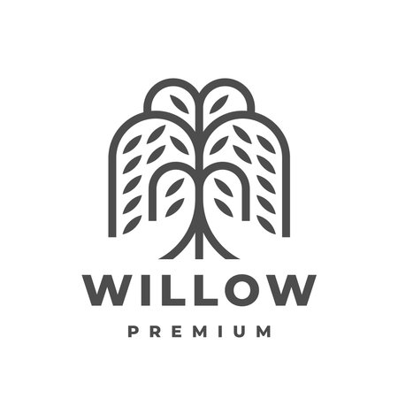 Willow tree logo design. Weeping willow icon. Vector illustration.のイラスト素材