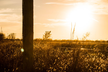 Sunset Fieldの写真素材