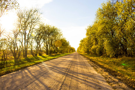 Sunset Roadの写真素材